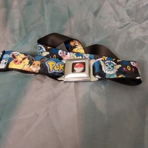 Seatbelt buckle belt